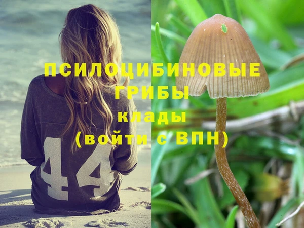 прущие крисы Баксан