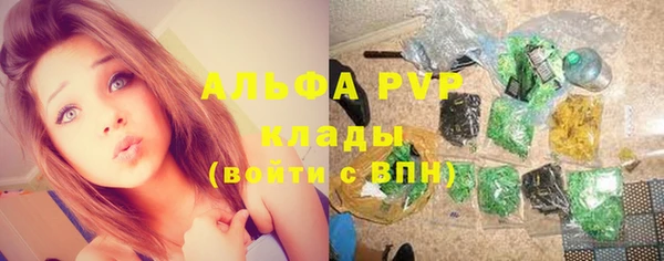 прущие крисы Баксан
